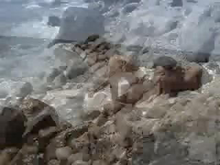 巨乳 褐髮女郎 冒充 裸 上 一 海灘